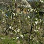 Pict0738