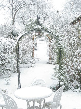 P3230329.jpg