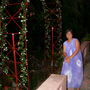 Starry night at the terrace