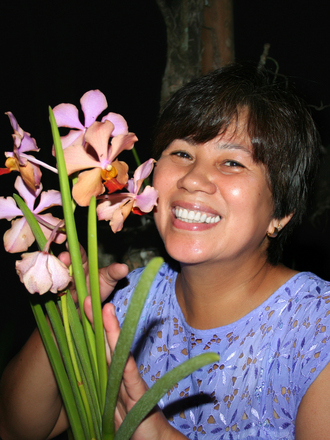 Orchids-Vanda