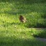 Not Camera Shy is He/She :)
