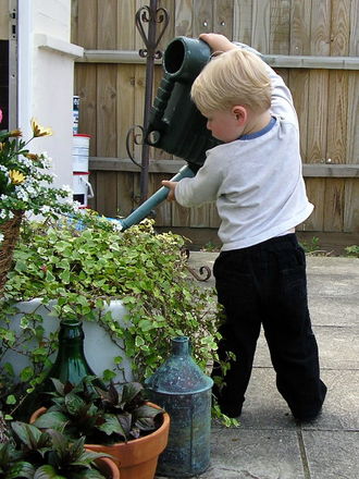 My grandson Dylan a gardener in the making.