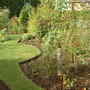 Michaella_s_garden__5_