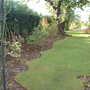 Michaella_s_garden__11_