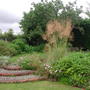 Stipa