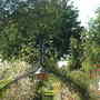 Sunday_26_august_2007_003