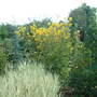 Sunday_26_august_2007_023