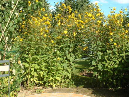 Sunday_26_August_2007_045.jpg