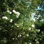 Sunday_26_august_2007_056