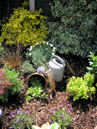 A garden flower photo