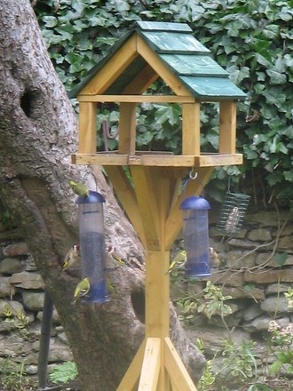 Goldfinch and Siskins a bit closer.