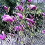Pict0836