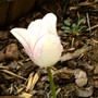 Pict0808