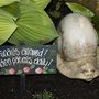 No_snails_allowed