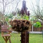 Summer Basket 1