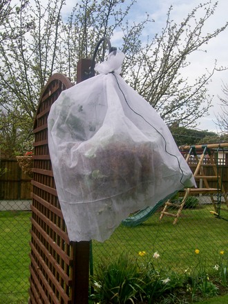 hanging_basket_12.jpg