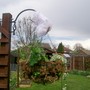 Hanging_baskets_13