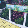 Yellowbrickroad126