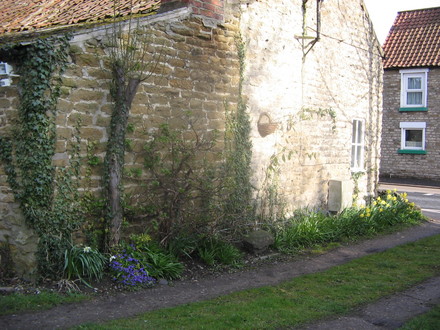 cottage side view.