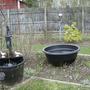 Pond_project_01