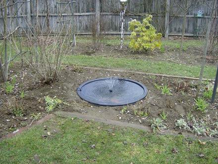 Pond Project April 2008