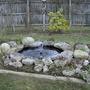 Pond_project_06