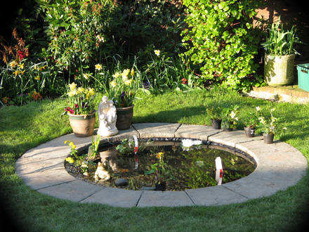 Pond with new plants