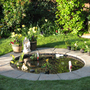 Pond_001