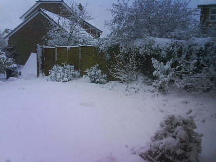 Snow in our garden, pretty!