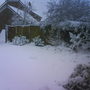 Snow in our garden, pretty!