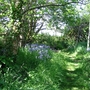 Copy_of_img_0742