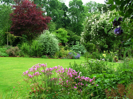 Garden view, late June