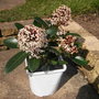 Monday_14_april_010