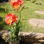 Monday_14_april_011