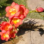 Monday_14_april_012