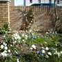 March14_010