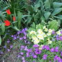 Spring_group