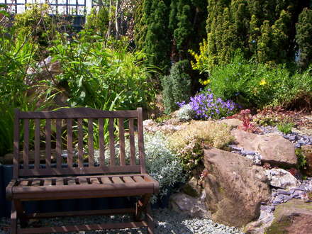 A garden flower photo