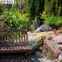 A garden flower photo