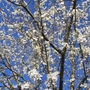 Copy_of_img_1449