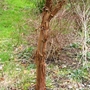 Copy_of_img_0489