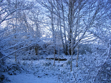 Wintery scene