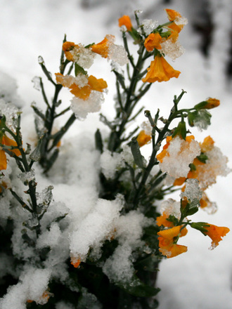a winters day