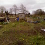 Bean poles and sweet peas
