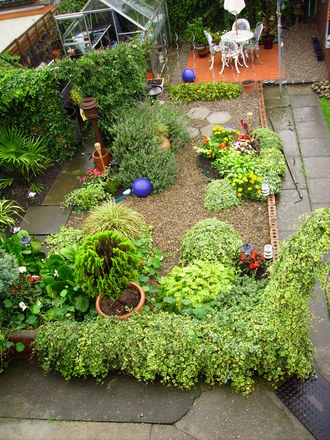 IMGP0064.jpg