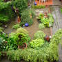 IMGP0064.jpg