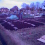 How we are today (14.04.08)