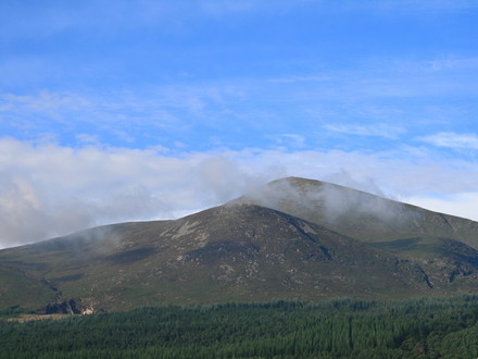 Mourne's