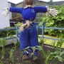 Scarecrow128