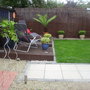 IMGP1125.jpg